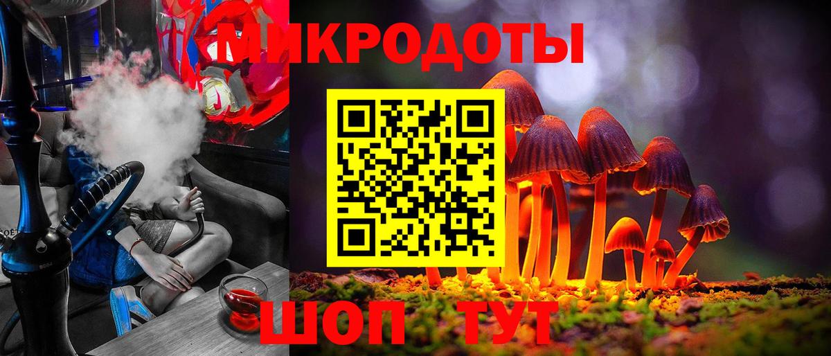 Псилоцибиновые грибы Cubensis Заречный