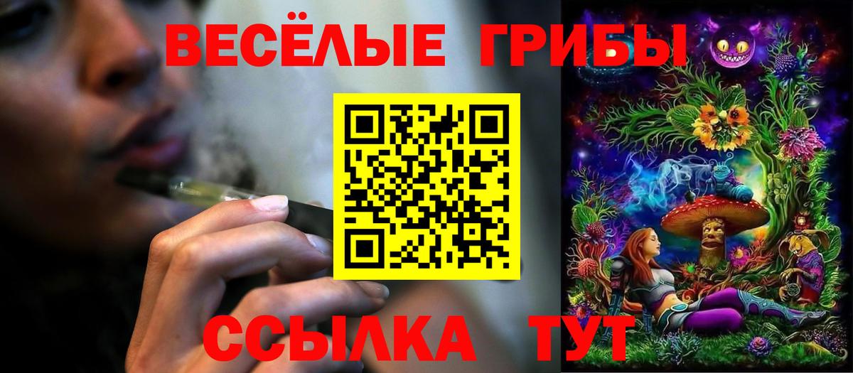 Псилоцибиновые грибы ЛСД  Вход с VPN  Заречный 